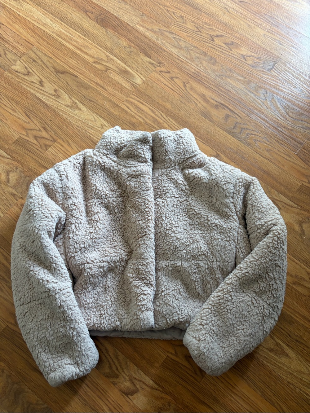 Cropped Teddy Jacket in Light Beige — Plush Sherpa Coat